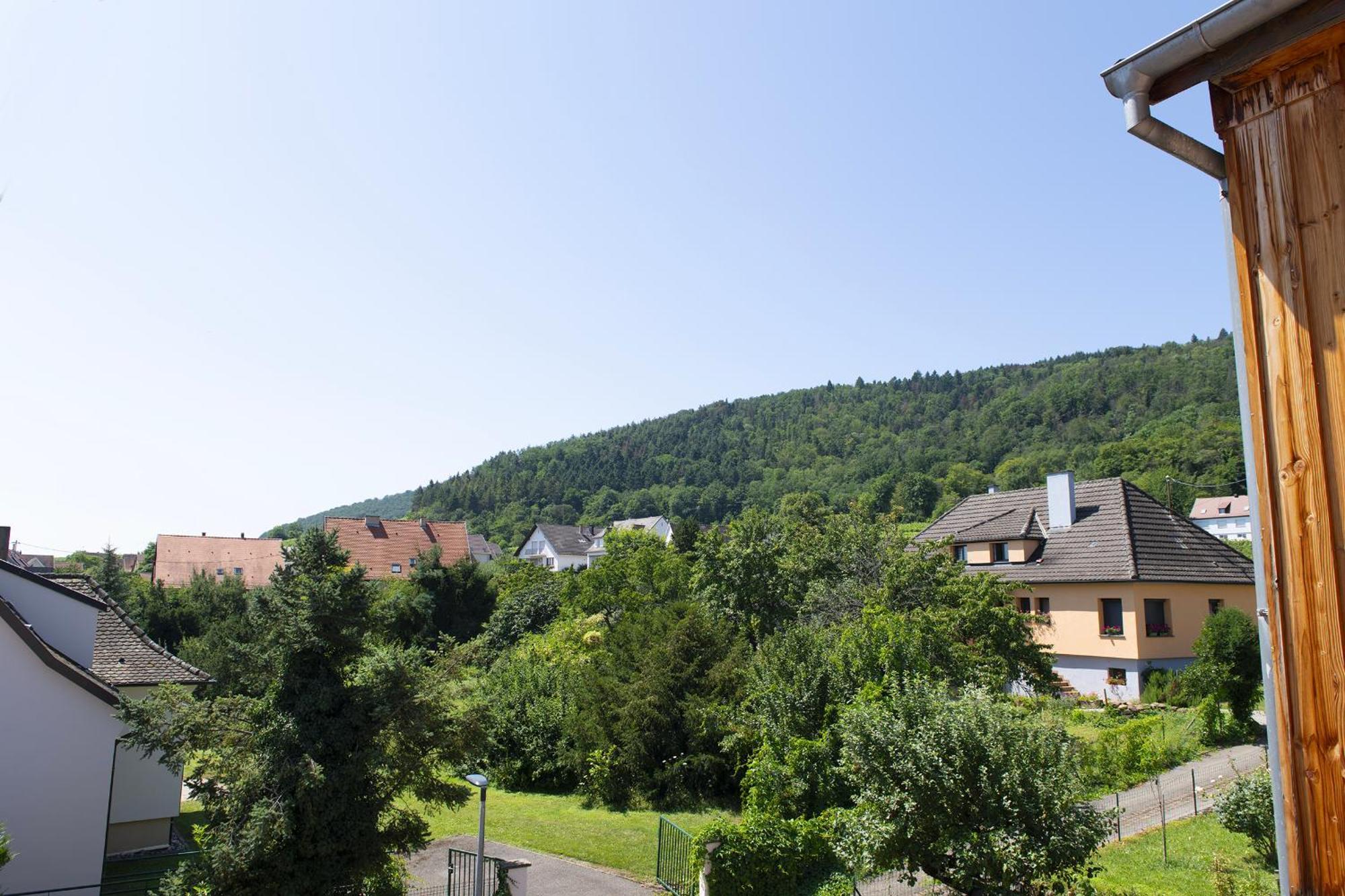 Pinot Gris - Charmant Studio Au Coeur Du Vignoble - Parking Gratuit Riquewihr Exterior photo